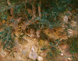 Valdemosa, Majorca: Distels en kruiden op een heuvel, 1908