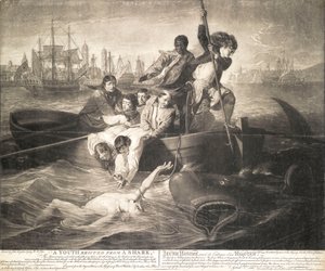 Een jongeman gered van een haai door John Singleton (after) Copley