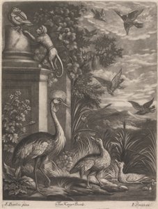 De Koningsvogels door John Smith