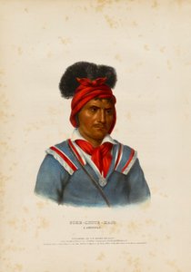 Foke-luste-ajo, een Seminole door John T. Bowen