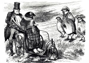 Een cartoon die commentaar geeft op de opschorting van het jagen op korhoenders om de voorraad te laten herstellen. Geïllustreerd door John Tenniel (1820-1914) een Engelse illustrator, grafische humorist en politieke cartoonist door John Tenniel