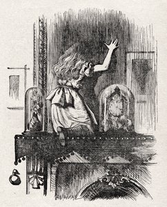Alice door de spiegel door John Tenniel