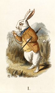 Het Witte Konijn