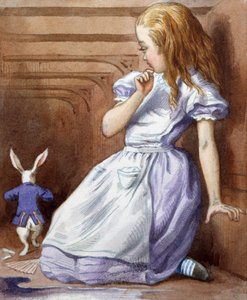 Onbekend Beeld door John Tenniel
