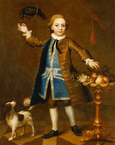 Portret van een jongen, volledig lengte, in een bruine jas, blauw vest met zilveren vlecht, met een kers voor een papegaai, een spaniël aan zijn zijde, met fruit op een standaard, 1741 door John Theodore Heins