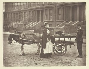 Aardbeien. Alle Rijp! Alle Rijp!, 1881