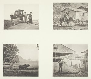 De Sedan, Een Militaire Officier, De Ploeg, Een Noord-Chinese Pony, ca. 1868