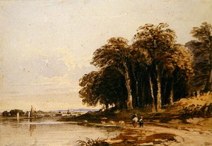 Rivierlandschap