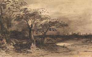 Rivier, Bomen en een Verre Stad