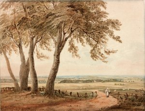 Uitzicht vanaf Polsden bij Bookham in Surrey door John Varley
