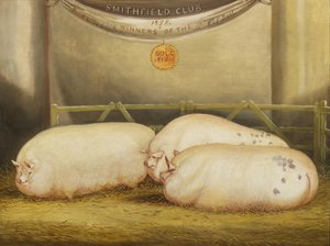 Drie verbeterde Leicesters in een hok op de Smithfield Club Kerstshow, 1858