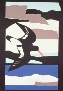 Scholekster