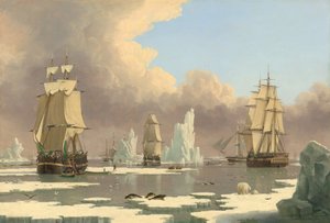 De noordelijke walvisvangst: De Zwaan en Isabella door John Ward I