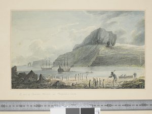F.1 Een uitzicht op Christmas Harbour in Kerguelen