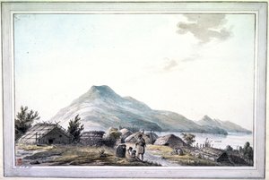 De Hippah, Nieuw-Zeeland