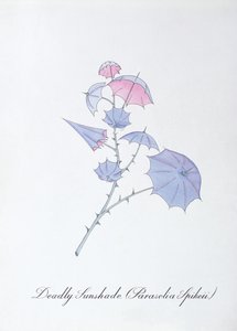 Dodelijke Parasol (Parasolia Spikeii.), illustratie uit 