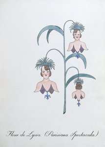 Fleur de Lysia (Parisiana Spectacula.), illustratie uit 
