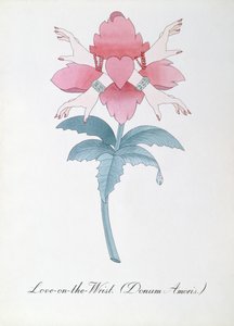 Liefde-op-de-Pols (Donum Amoris.) illustratie uit 