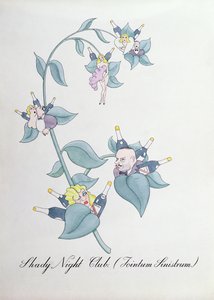 Schimmige nachtclub (Jointum Sinistrum.) illustratie uit 