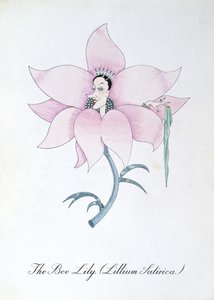 De Bijenlelie (Lillium Satirica.), illustratie uit 