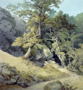 Canonteign, Devon door John White Abbott