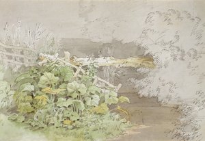 Dokplanten bij een beschaduwde stroom door John White Abbott