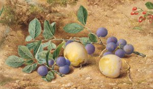 Pruimen, 1870