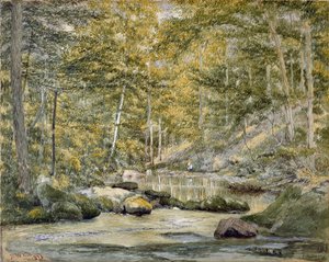 Bosvijver met vissende mannen, 1870