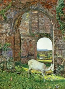 De Witte Hinde van Rylstone