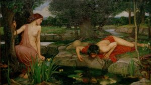 Echo en Narcissus