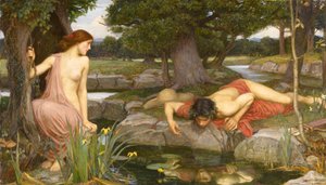 Echo en Narcissus