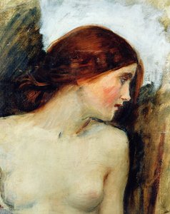 Studie voor het hoofd van Echo, c.1903 door John William Waterhouse
