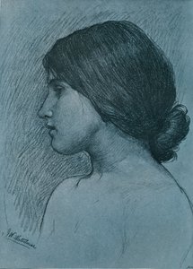 Studie van een Hoofd, c1899 door John William Waterhouse