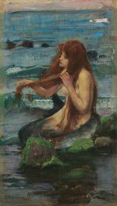 De Zeemeermin, 1892