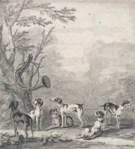 Honden in een landschap