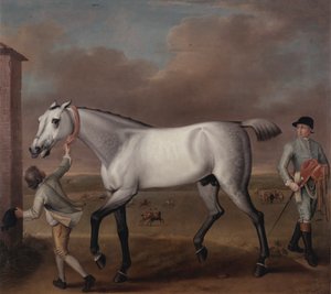 De grijze renpaard 