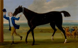 De Bonny Black van de Hertog van Rutland door John Wootton