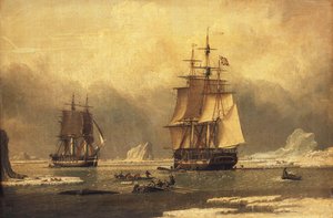 De "Swan" en "Isabella" Walvisvangst in het Noordpoolgebied door John of Hull Ward