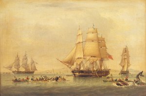 Walvisvaarders van de Zuidzeevisserij door John of Hull Ward