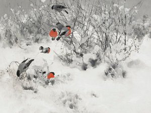 Roodborsttangaren in de sneeuw door Jolly and Dash