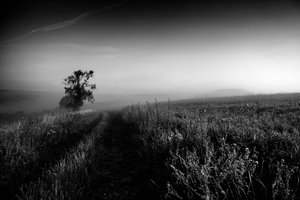  door Jon Nicholson
