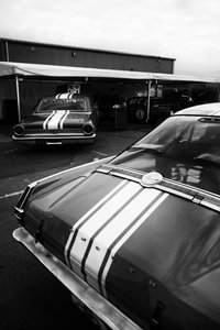 Het Goodwood Estate in West Sussex, VK, 2020 (foto) door Jon Nicholson