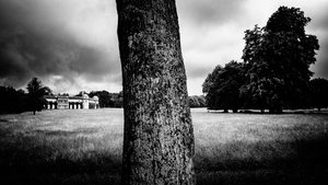Het Goodwood Estate in West Sussex, VK, 2020 (foto)