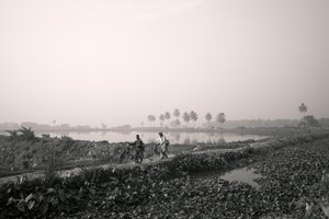 Wetlandvissen in Kolkata, 2016 (foto) door Jon Nicholson