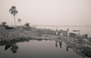 Wetlandvissen in Kolkata, 2016 (foto) door Jon Nicholson