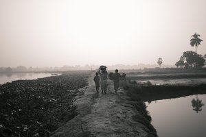 Wetlandvissen in Kolkata, 2016 (foto) door Jon Nicholson