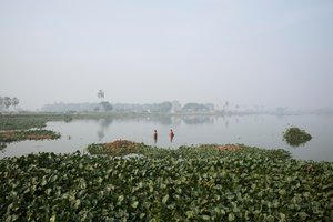 Wetlandvissen in Kolkata, 2016 (foto) door Jon Nicholson