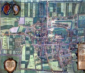 Kaart van Den Haag, uit 