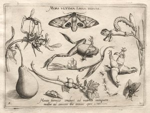 Archetypen en Studies: De dood is de lijn die het einde van alles markeert (Deel II, plaat 5)