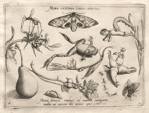Archetypes en Studies: De dood is de lijn die het einde markeert Deel II, plaat 5, 1592